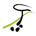 My Website